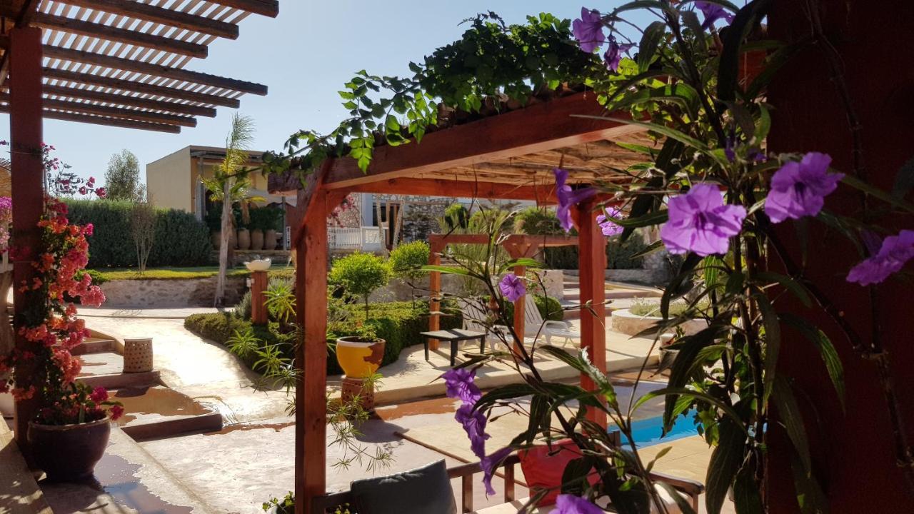 Terrasses vertes Essaouira Exterior foto